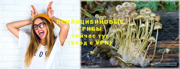 соль ск Абинск