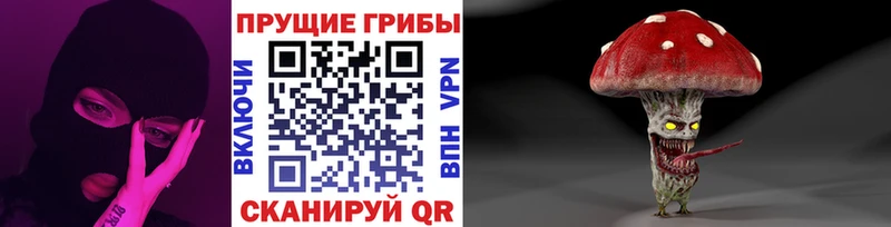 продажа наркотиков  Руза  Псилоцибиновые грибы ЛСД 